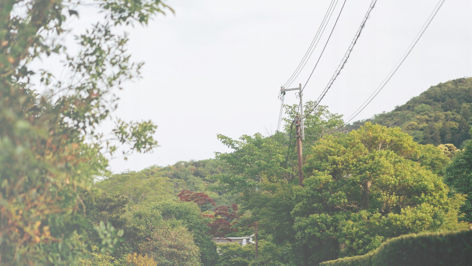 土地あり・土地なしで予算配分はどう変わる？のフォールバックイメージ