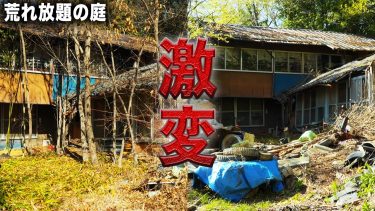 【古民家再生】2ヶ月かけて整えた庭…明るさが戻りました